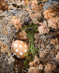 Similar image 21640771