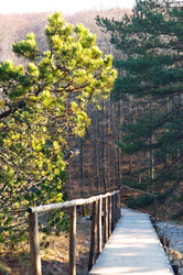 Similar image 21645718