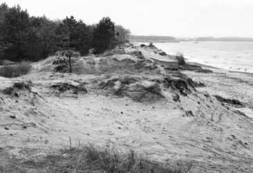 Similar image 21645720