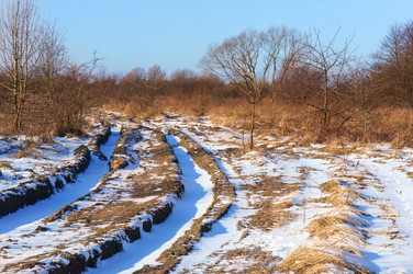 Similar image 21645729