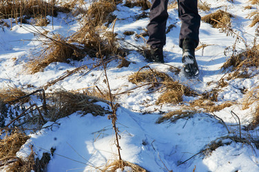 Similar image 21645735