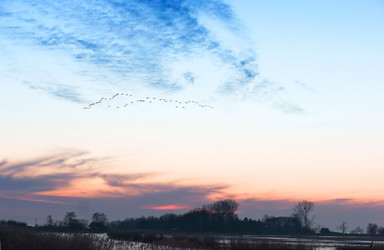 Similar image 21645736