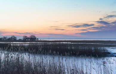 Similar image 21645742