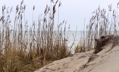 Similar image 21646097