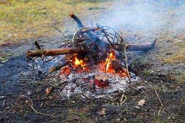 Similar image 21646099