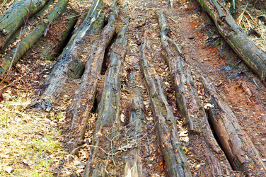 Similar image 21646109