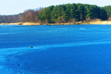 Similar image 21646117