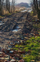 Similar image 21646120