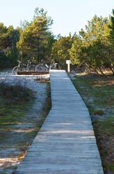 Similar image 21646124