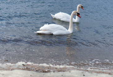 Similar image 21645155