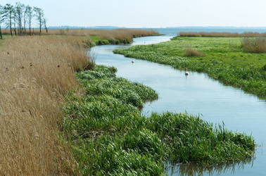 Similar image 21645327