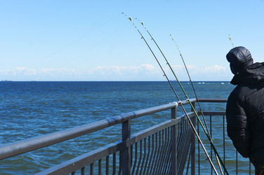 Similar image 21645530