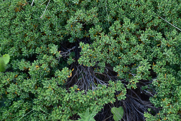 Similar image 21656926