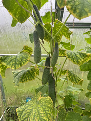 Similar image 21661214