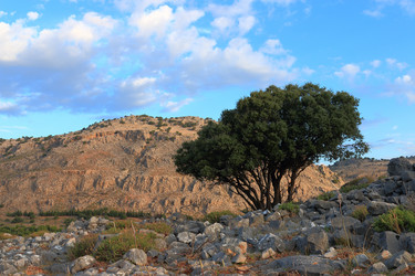 Similar image 21632581