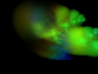 Similar image 21642639