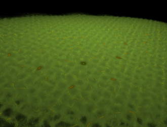 Similar image 21643546