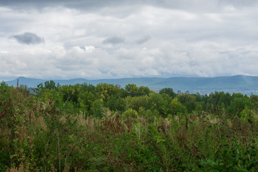 Similar image 21655077