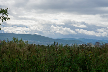 Similar image 21655083