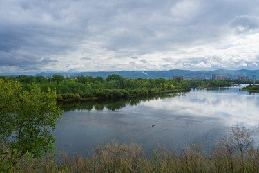 Similar image 21655084