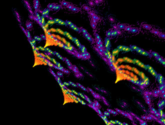 Similar image 21642641