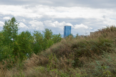 Similar image 21655089