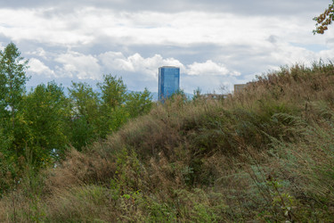 Similar image 21655091