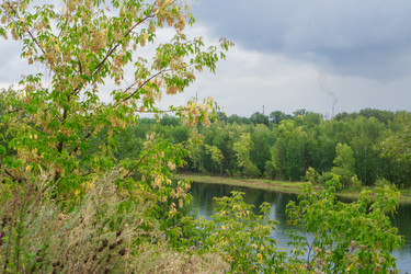 Similar image 21655242