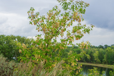 Similar image 21655243