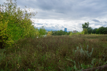 Similar image 21655254