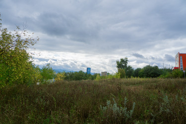 Similar image 21655255