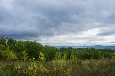 Similar image 21655262