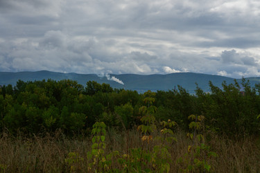 Similar image 21655264