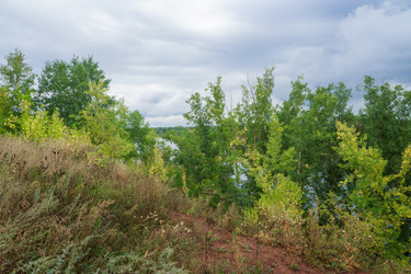 Similar image 21655269