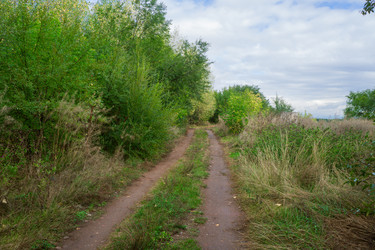 Similar image 21655395