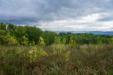 Similar image 21655404