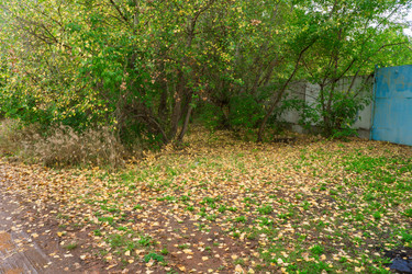 Similar image 21655415