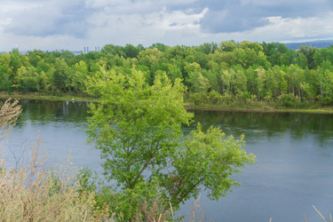 Similar image 21655424