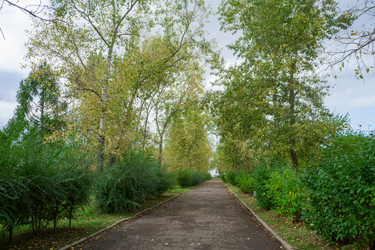 Similar image 21655425