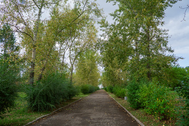 Similar image 21655426