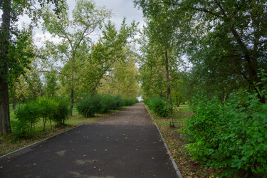 Similar image 21654637