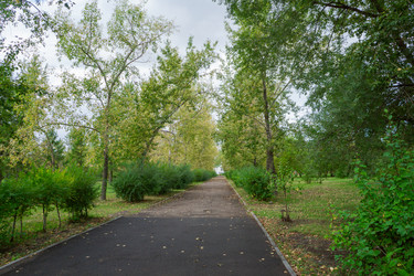 Similar image 21654638