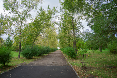 Similar image 21654639