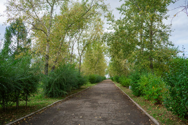 Similar image 21654640