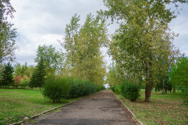 Similar image 21654641