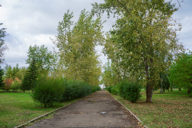 Similar image 21654642