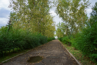 Similar image 21654643