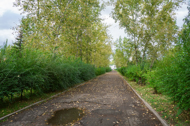 Similar image 21654644