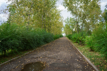 Similar image 21654645