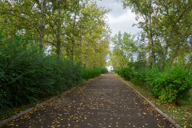 Similar image 21655095